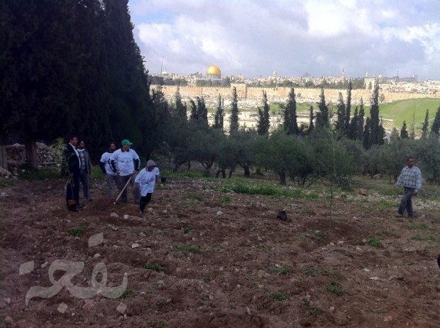 alqods lltnmihs (2)
