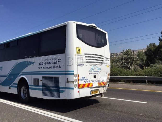 dsx (1)