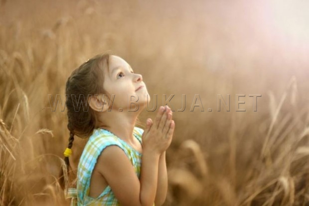 shutterstock_208683520