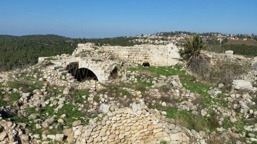 aas (5)